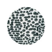 AMACO Szkliwo Crawls CR-1 Black 472 ml