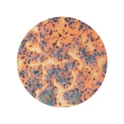 AMACO Szkliwo Crawls CR-18 Speckled Flux Crawl 472 ml