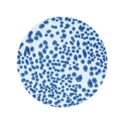 AMACO Szkliwo Crawls CR-20 Dark Blue 472 ml