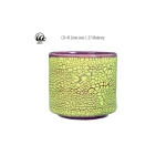 AMACO Szkliwo Crawls CR-41 Lime 472 ml