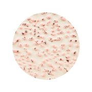 AMACO Szkliwo Crawls CR-51 Speckled Pink 472 ml