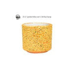 AMACO Szkliwo Crawls CR-61 Speckled Yellow 472 ml