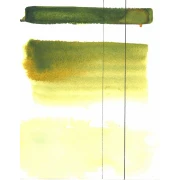 AQUARIUS AKWARELA AUTUMN GREEN 363