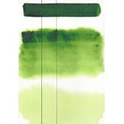 AQUARIUS AKWARELA SAP GREEN 233