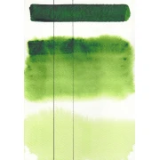 AQUARIUS AKWARELA SAP GREEN 233