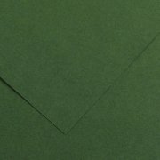 Brystol Canson Iris Vivaldi B1 240G Ciemny Zielony 31