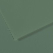 Canson Mi-Teintes 50x65 160g 190 Sage Green