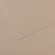 Canson Mi-Teintes 50x65cm 160g 122 Flannel grey