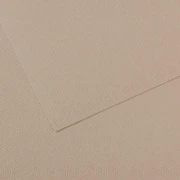 Canson Mi-Teintes 50x65cm 160g 122 Flannel grey