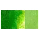 308 Bright Green – próbka koloru