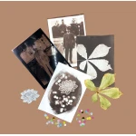 DIY Cyanotype & Van Dyke kit – Paper