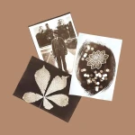 DIY Van Dyke kit – Paper