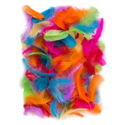 Dp Craft Piórka 5-12cm, 10g Brights,