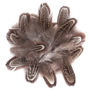 dpCraft – pióra bażanta naturalne 5–12 cm, 15 szt.