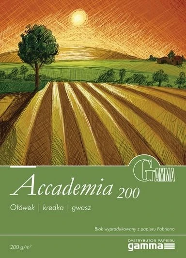 FABRIANO BLOK ACCADEMIA 200G 22.5X32.5 200G 10 ark