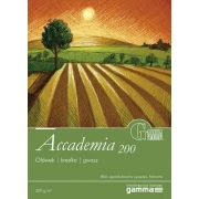 FABRIANO BLOK ACCADEMIA 200G 22.5X32.5 200G 10 ark