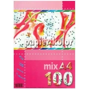 KRESKA PAPIER KSERO A4 MIX KOLOR - FLUO - 100szt
