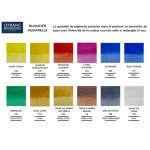 Lefranc & Bourgeois Watercolour 12 Half Pans metal case