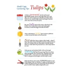 Madd Capp I AM TULIP – wkładka ze wskazówkami ogrodniczymi