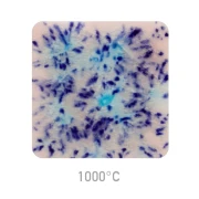 MAYCO Jungle Gems S-2702 NORTHERN LIGHTS (118 ml)