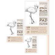 Szkicownik eco z jasnym papierem A4 80g 100 ark.