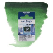 Talens Van Gogh Akwarela w Kostce 1/2 - 645 Hooker's Green Deep