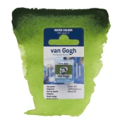 Talens Van Gogh Akwarela w Kostce 1/2 - 623 Sap Green