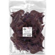 TITANUM PIÓRKA 5-12 CM, 16 G - BRĄZOWE