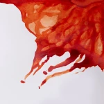 Winsor & Newton Tusz rysunkowy Burnt Sienna 14ml